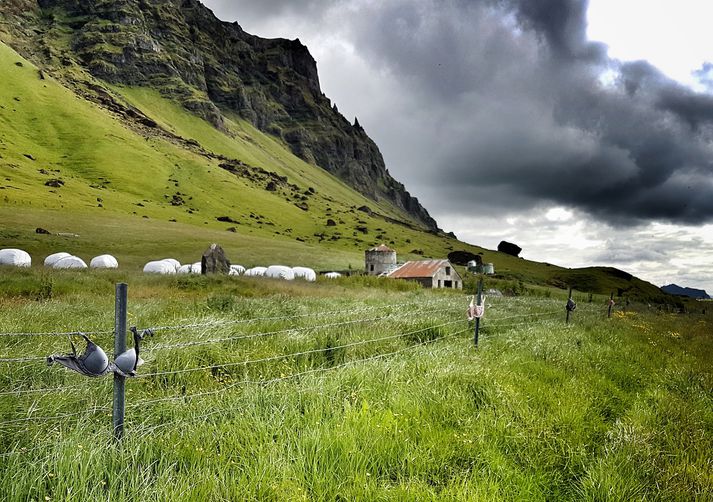 Brjóstahaldararnir sóma sér vel á girðingunni undir Eyjafjöllum.