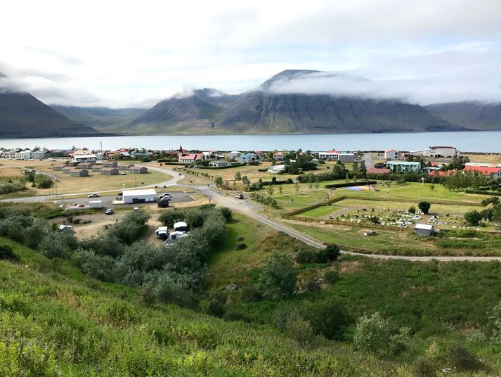 Frá Flateyri. Maðurinn viðurkenndi fyrir dómi að hafa fellt aspirnar, dagana 19. -21. júlí á síðasta ári.