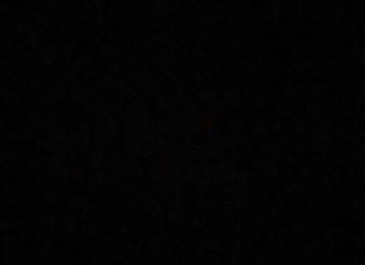 Mörg hundruð þúsund svona myndir má finna á Instagram. 