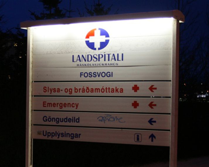 Drengurinn fór á slysadeild og er núna haldið sofandi á gjörgæslu. Mynd/ GVA.