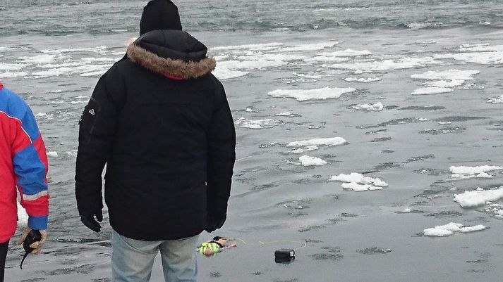 Leitarmenn hafa meðal annars notast við brúður sem varpað hefur verið í Ölfusá.