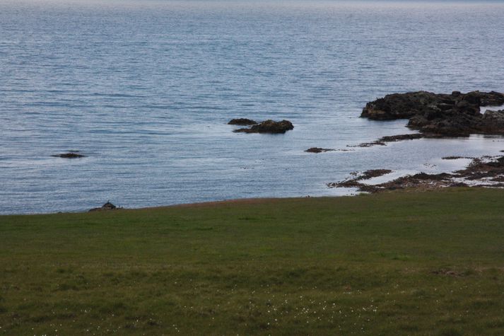 Þyrlan kom aftur til Reykjavíkur um klukkan hálf-sex í gær.