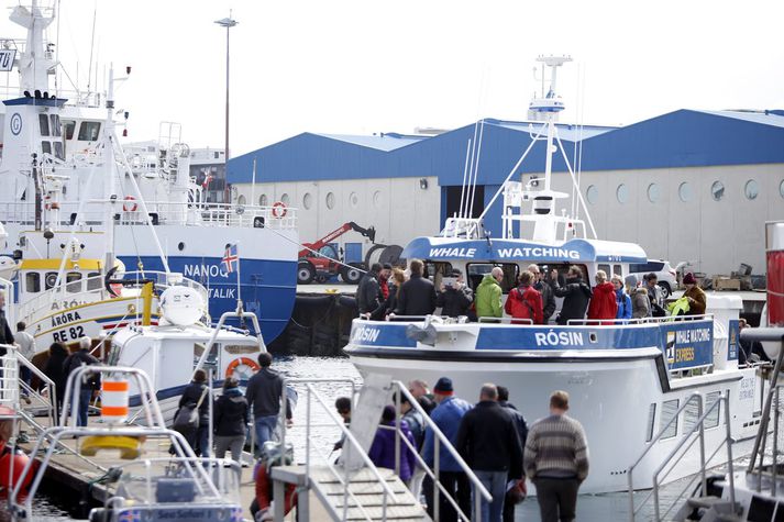 Ferðamenn í Reykjavíkurhöfn.