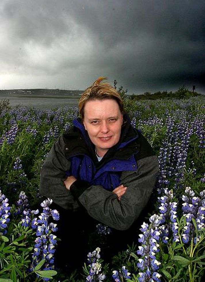 Það var Tina Naccache, samstarfskona Hrafnhildar Gunnarsdóttur, sem vakti athygli hennar á Óbeislaðri fegurð, en Tina hafði heyrt um hana í útvarpi í Beirút.