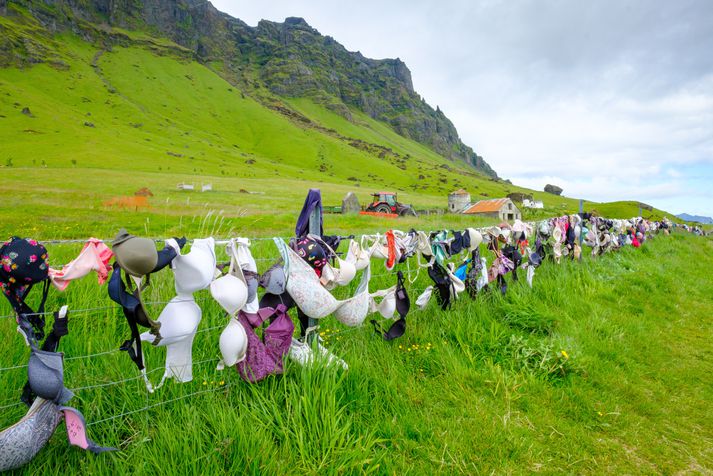 Það er enginn skortur á brjóstahöldurum við Brekkukot. 