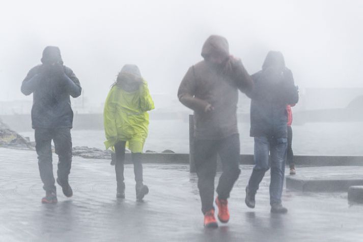 Það mun rigna víða á landinu í dag en snjóar sums staðar fyrir norðan. 