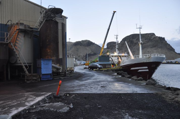 Helstu starfsþættir VÍ eru frysting sjávarafurða, fiskimjöls- og lýsisframleiðsla og útgerð fiskiskipa.