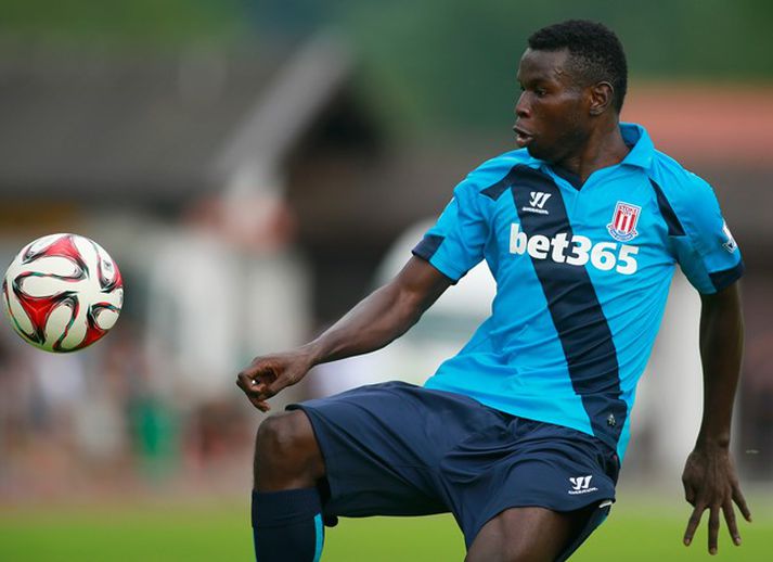 Stuðningsmenn Stoke binda miklar vonir við Mame Biram Diouf.