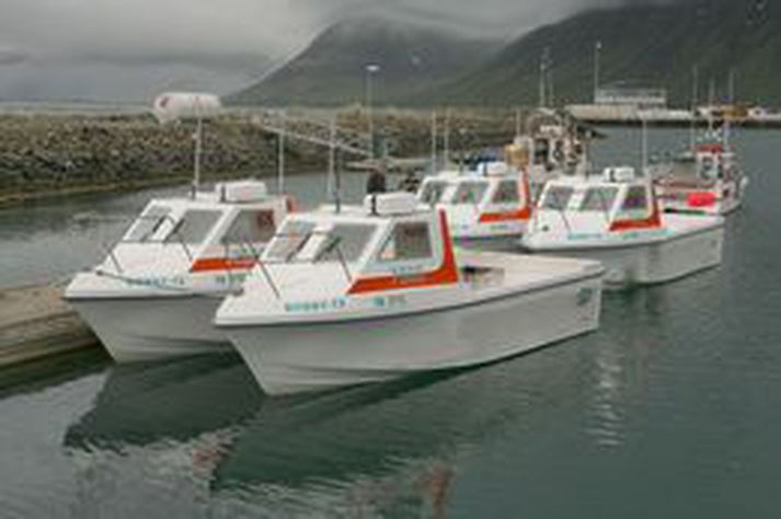 Myndin tengist ekki þessari frétt.