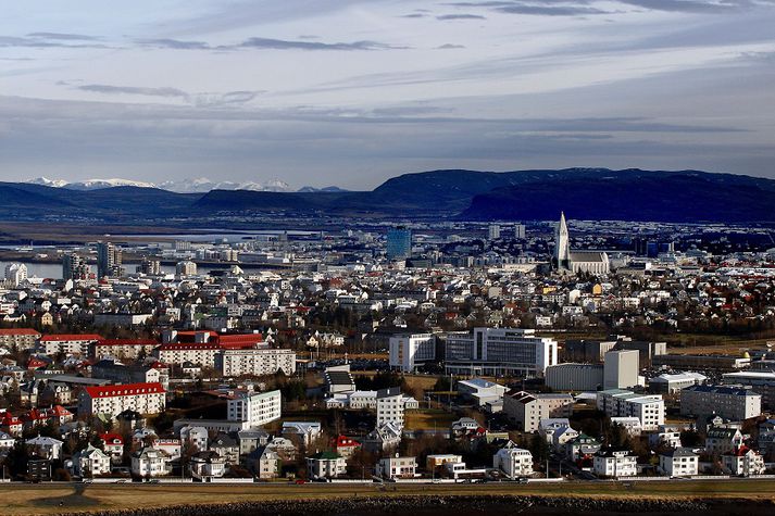 Starfsmaðurinn var í útkalli á heimili í Reykjavík þegar gestkomandi veittist að honum.