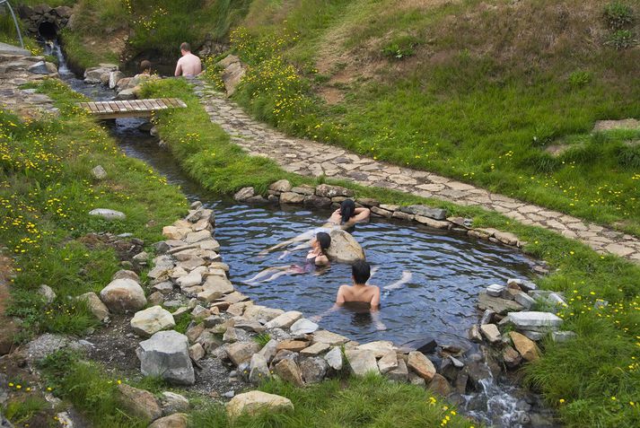 Laugarhólslaug í Bjarnarfirði er ein fjölmargra náttúrulauga á landinu. Ekki liggur fyrir hvort hún sé ein þeirra sem er full af gerlum.