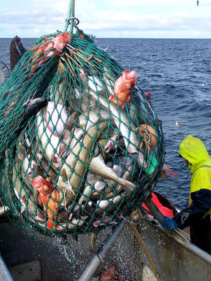 Ferskur fiskur hefur hækkað og mun enn hækka töluvert í verði hér á Íslandi.
