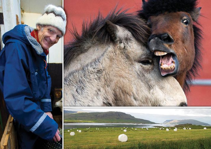Ólafur Dýrmundsson segir bakteríurnar sem þrífast þegar hræ lokast í heyrúllu bráðdrepandi.