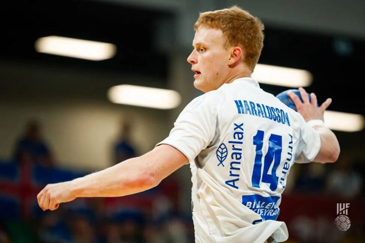 Össur Haraldsson og félagar í íslenska landsliðinu enduðu í 18. sæti HM.