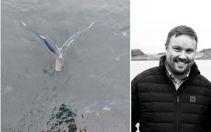 Kjartan Lindbøl, sem er COO hjá Kaldvík og félagar hans hjá fyrirtækinu hafa verið dæmd til að greiða stjórnvaldssekt vegna brota á lögum um dýravelferð.