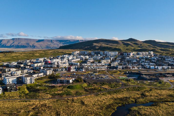 Mikill meiri hluti vill leiguþak.