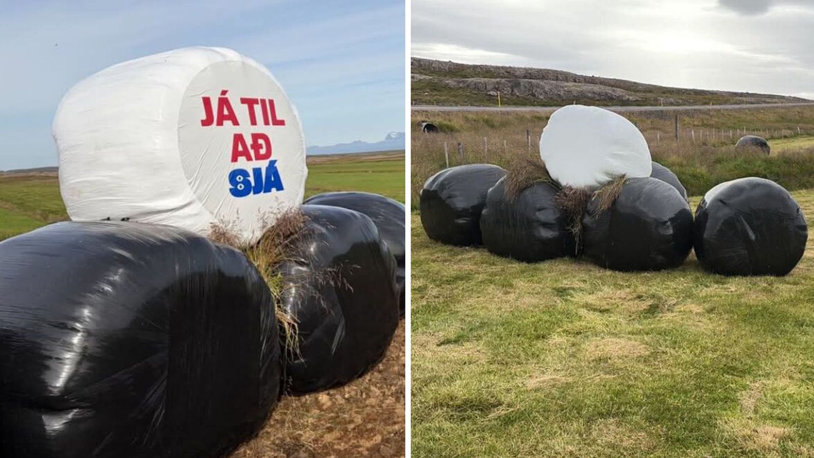 Límmiðar lifðu ekki af nóttina