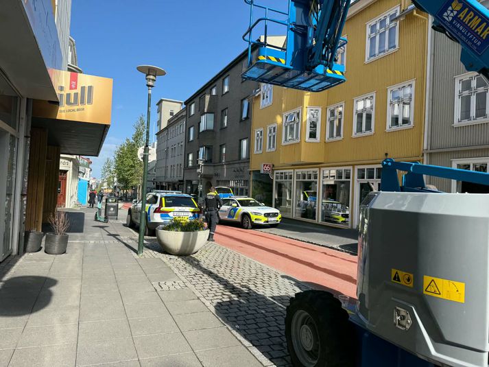 Frá aðgerðinni í dag. Hið minnsta fjórir lögreglubílar voru á vettvangi.