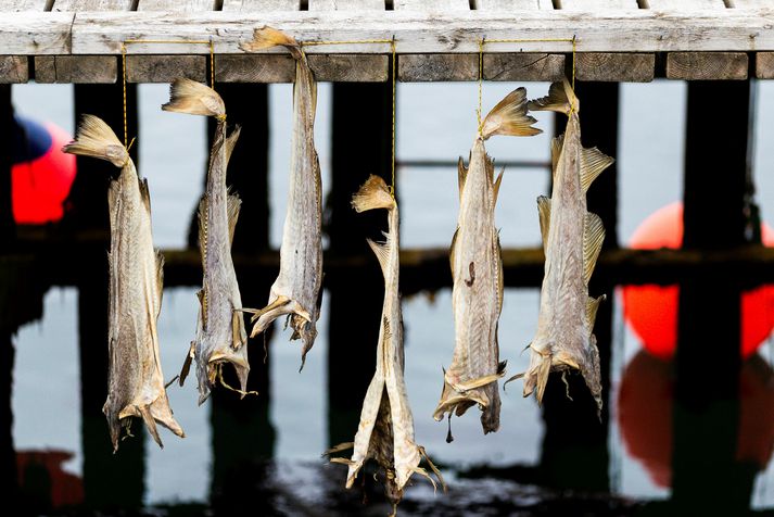 „Hugtakið veljum íslenskt, borðum íslenskt. Þetta hugtak er að hverfa úr íslenskri menningu,“ segir Fiskikóngurinn.