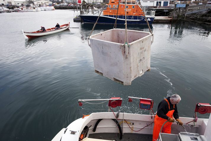 Hafrannsóknastofnun leggur til 239 þúsund tonna þorskkvóta á næsta fiskveiðiári sem er yfir 20 þúsund tonna aukning frá yfirstandandi ári.