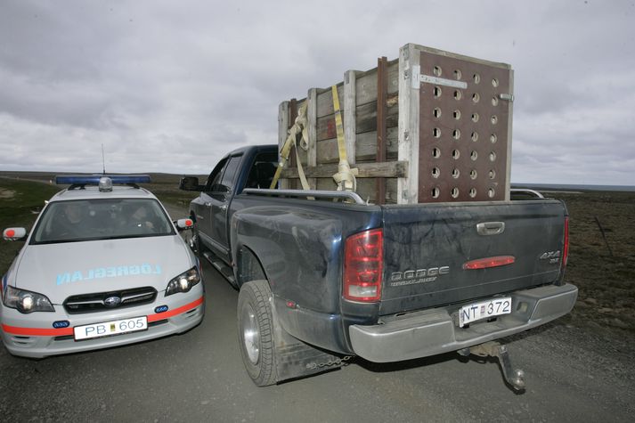 Búrið sem nota átti til að fanga ísbjörninn sem fannst við Hraun á Skaga í síðustu viku.