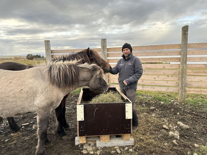 Jóhann Magnússon hrossabóndi á Bessastöðum við Hrútafjörð að huga að stóðhestsefnunum áður en vonskuveður skellur á.