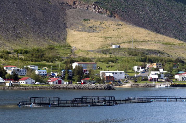 Arnarlax á Bíldudal er stærsta fiskeldisfyrirtæki landsins. 