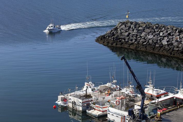 557 bátar hafa stundað veiðarnar í sumar.