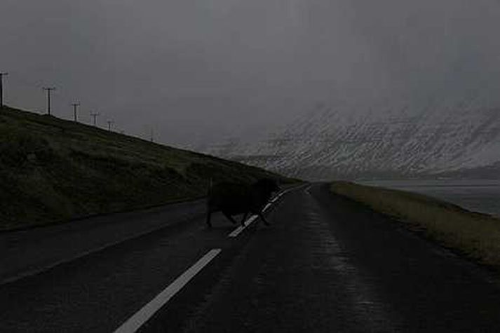 Frá Súgandafirði. Snjórinn þar er töluvert meiri á þessum tíma en myndin sýnir.
