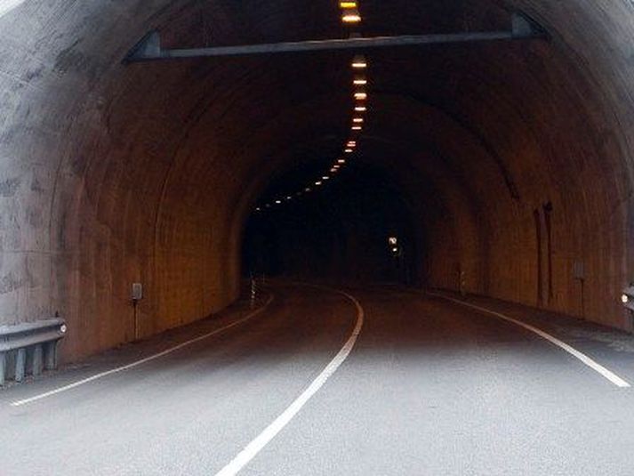 Mynd/Vilhelm Gunnarsson