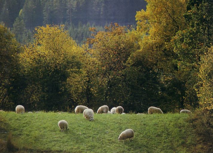 Menn heimsækja norsar sveitir í ýmsum tilgangi.