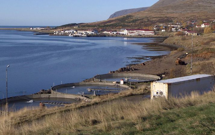 Tálknfirðingar hafa verið án rafmagns síðan í nótt.