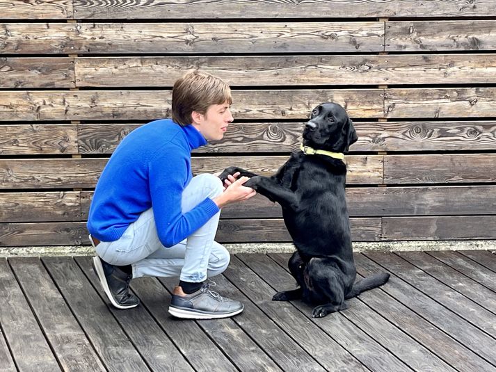 „Búið er að finna lausn á málinu innan ráðuneytisins og mun Már því ekki þurfa að bera fyrrgreindan kostnað vegna hundsins.“ Svo hljóðaði tilkynning sem barst frá Matvælaráðuneytinu síðdegis.