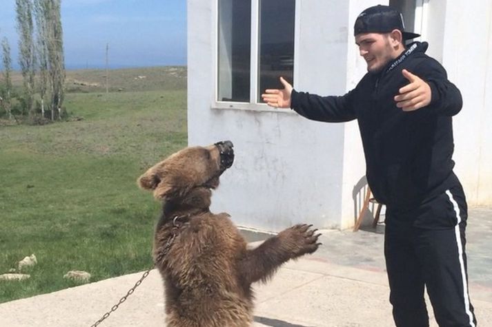 Khabib er hvorki hræddur við birni eða Conor McGregor.