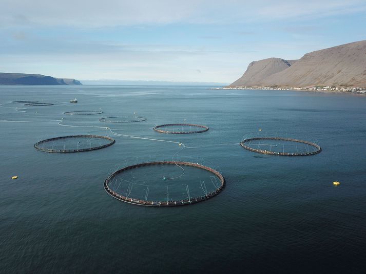 Frumvarp um fiskeldi er nú til umfjöllunar á Alþingi.