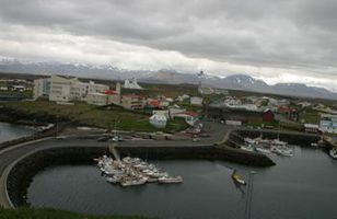 Fréttamynd
