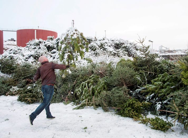 Þrettándinn er á morgun, 6. janúar.