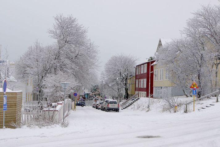 Atvik málsins áttu sér stað á heimili konunnar á Akureyri.