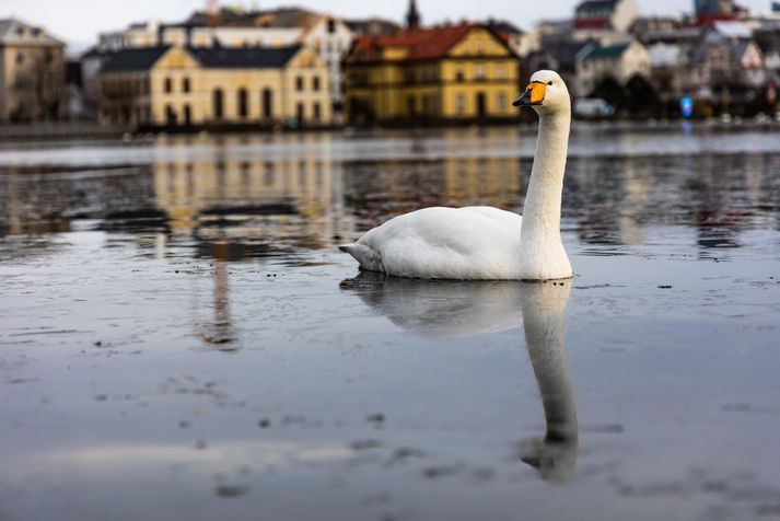 Hiti verður á bilinu eitt til sjö stig og mildast suðaustantil.