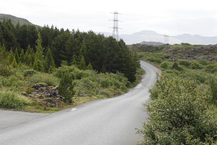 Hálka var á veginum og er talið að ökumaður bílsins hafi ekki sýnt nægilega aðgæslu.