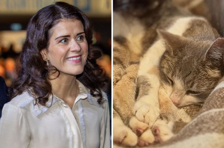 Ronja litla er loksins komin heim.