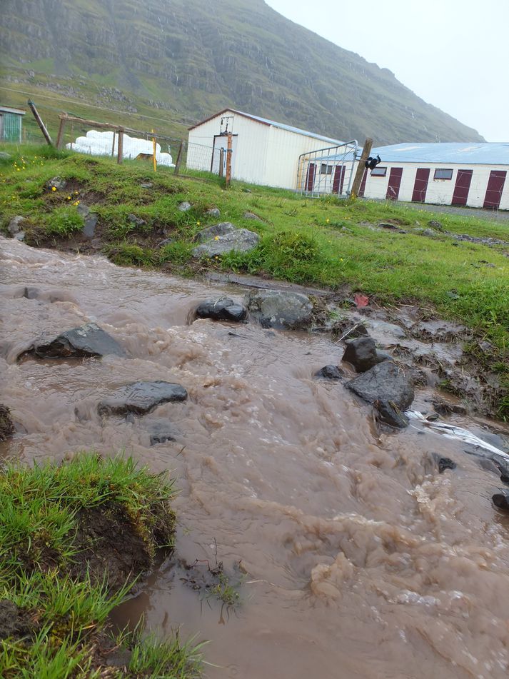 Miklir vaxtavextir hafa orðið á Vestfjörðum síðustu daga.