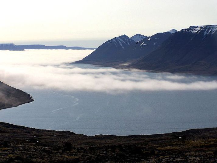 Vonast er til þess að tilraunaeldi Arnarlax í firðinum geti hafist næsta vor. Uppbygging fyrirtækisins gæti skapað um 50 ný störf á svæðinu. Mynd/Víkingur Gunnarsson