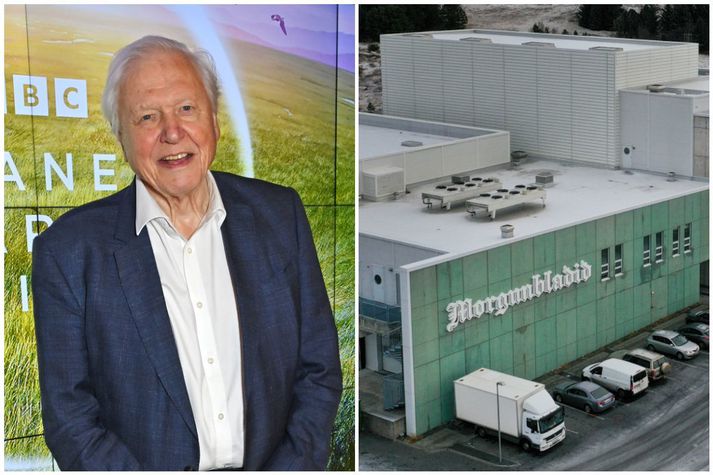 David Attenborough deildi ekki ljósmynd Morgunblaðsins eins og kom fram í blaðinu í morgun.