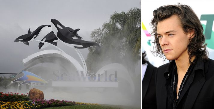 Harry Styles hvetur aðdáendur sína til að sniðganga SeaWorld.