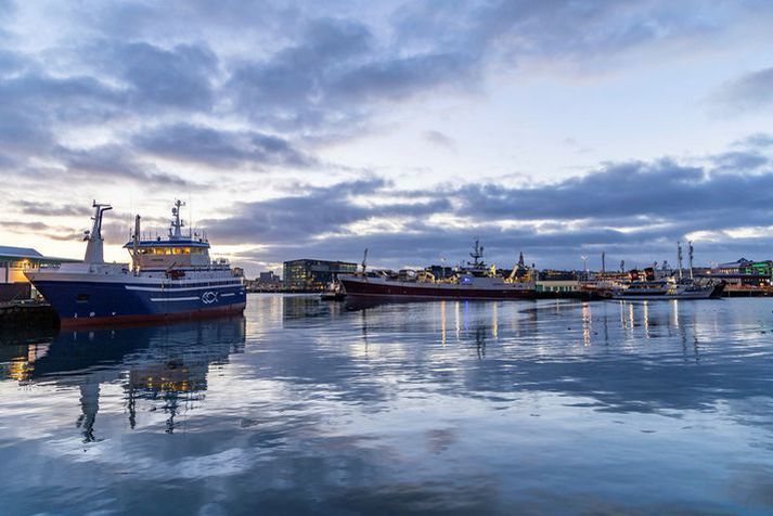 Reykjavíkurhöfn í birtingu.