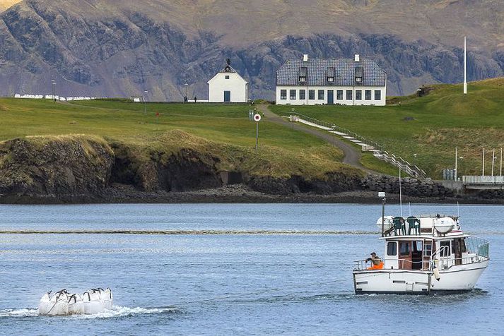 Búið er að ferja mikið af sandi yfir í Viðey sem fara á í endurbætur á göngustígum eyjarinnar.