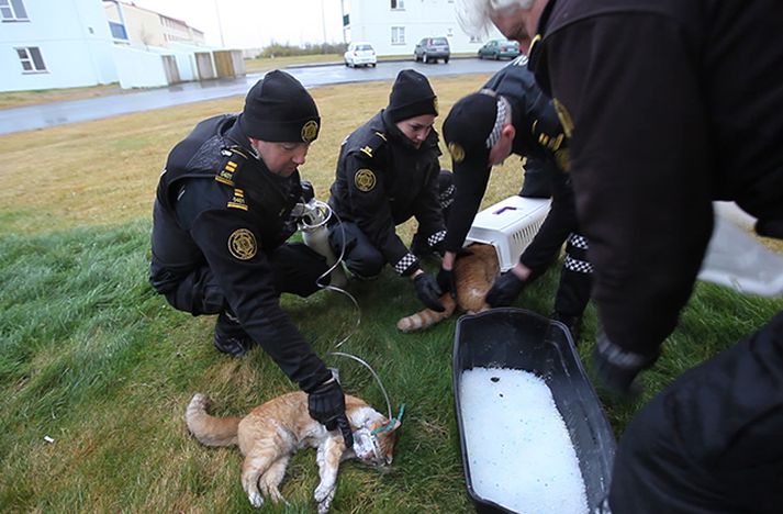 Hilmar Bragi Bárðarson, fréttastjóri Víkurfrétta, var fljótur á vettvang og náði myndum af björgunaraðgerðum lögreglu.