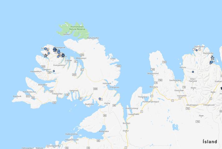 Á Vestfjörðum hefur snjóað talsvert undanfarna daga en norðaustan hríð er spáð alveg fram á miðvikudag. Mestur verður vindurinn og ofankoman í dag og fram á þriðjudag. Fyrir er talsvert fannfergi í fjöllum sem er lagskipt eftir mismunandi vindáttir og hitabreytingar.