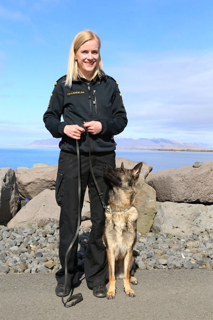 Ingibjörg Ylfa með Kötu, sem er tveggja og hálfs árs þýskur fjárhundur og fíkniefnaleitarhundur embættis tollstjóra.